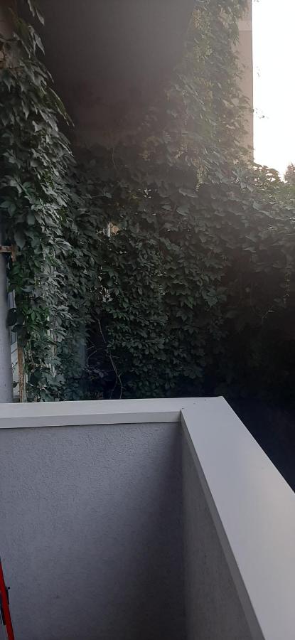 Apartman Apatin studio DUE - Ferienwohnung Apatin