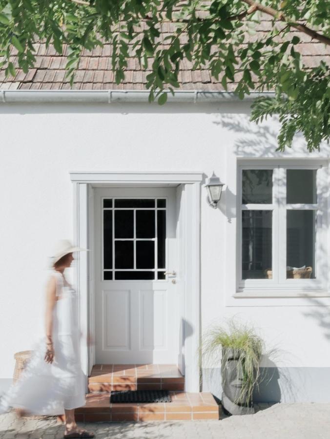Casa Palfy - B&B Oslip