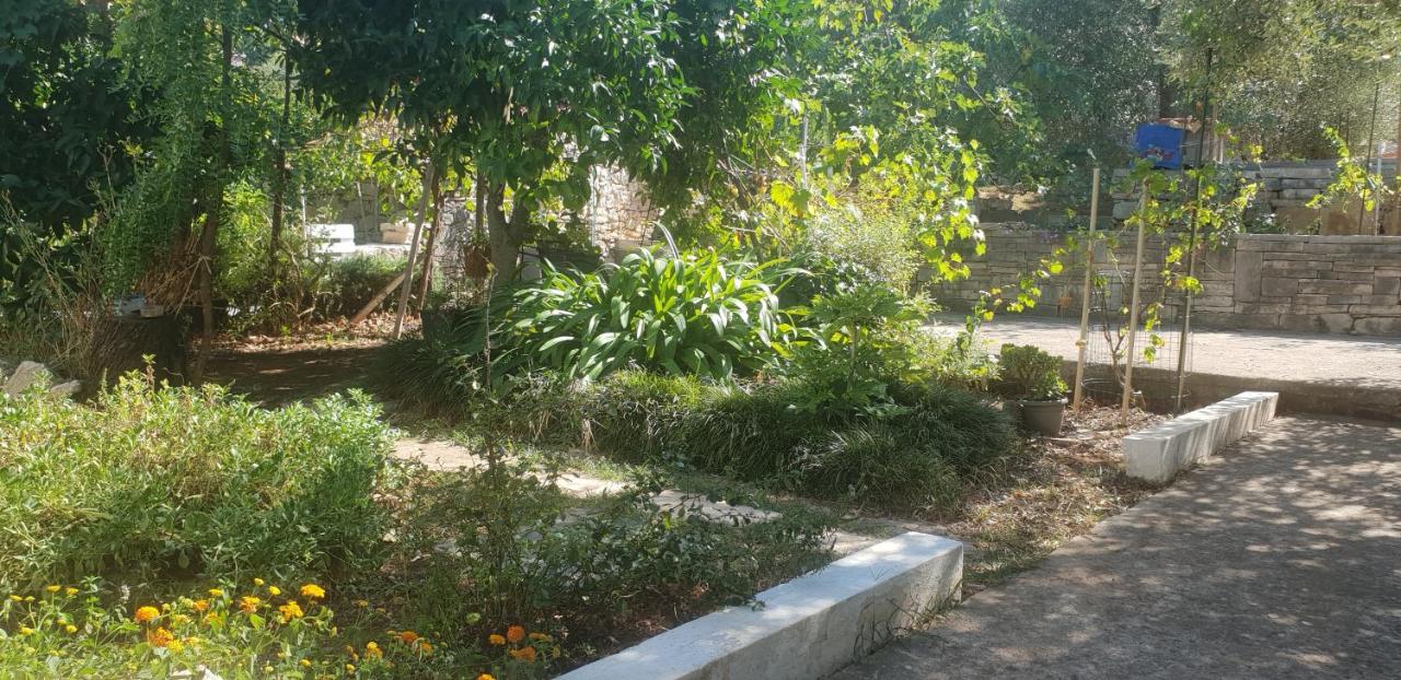 DOWNTOWN GARDEN - Chambres d’hôtes
