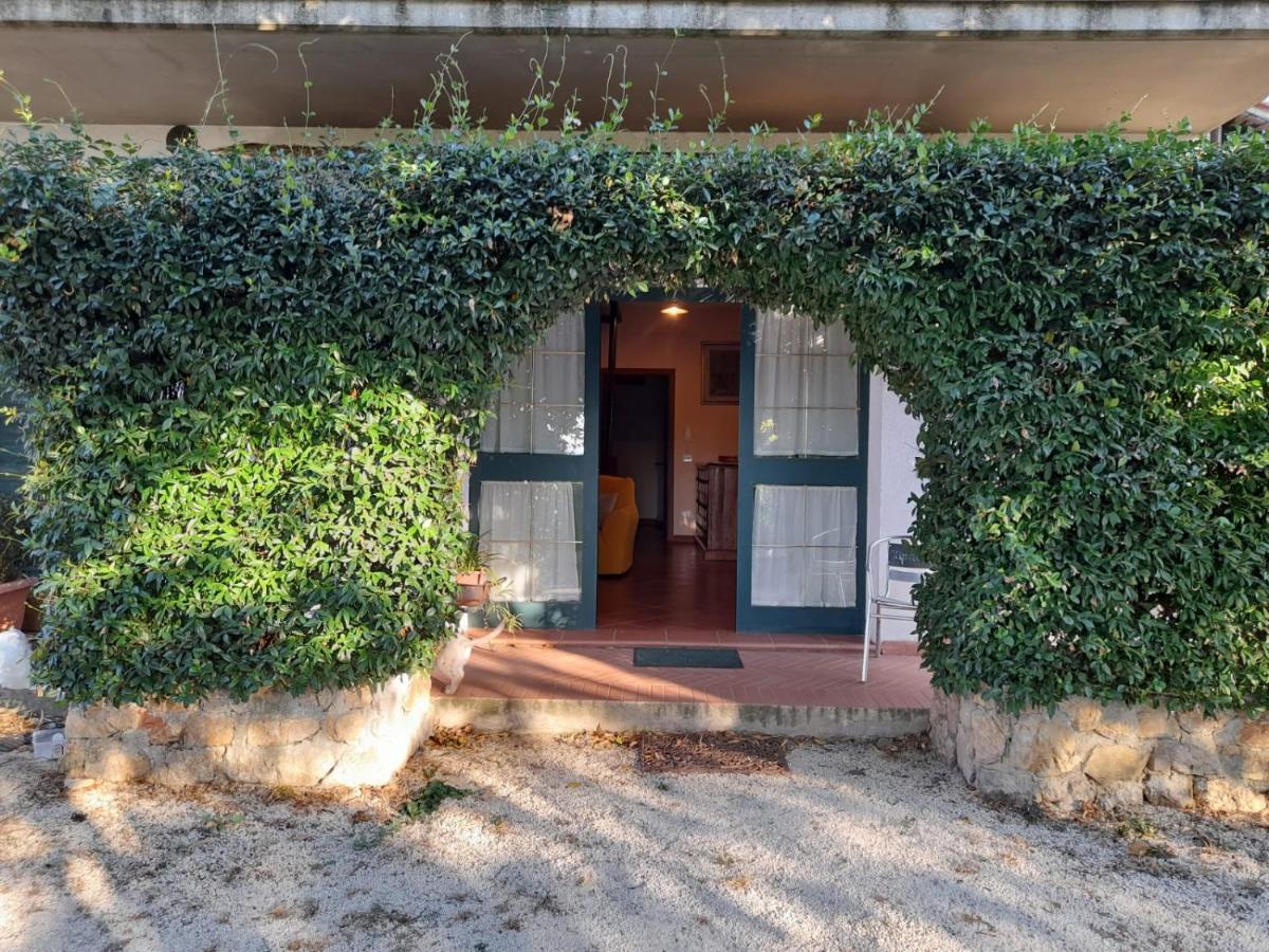 8380 Il Tiglio Verde - B&B Manciano
