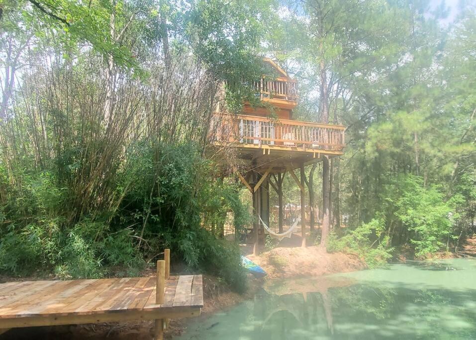 B&B Waller - Waterfront Treehouse in a Magical Forest - Bed and Breakfast Waller