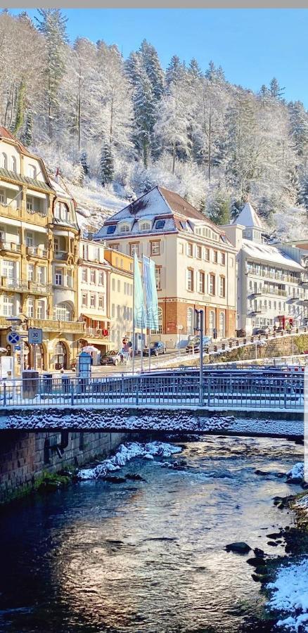 Gemütliche Wohnung im Zentrum von Bad Wildbad - B&B
