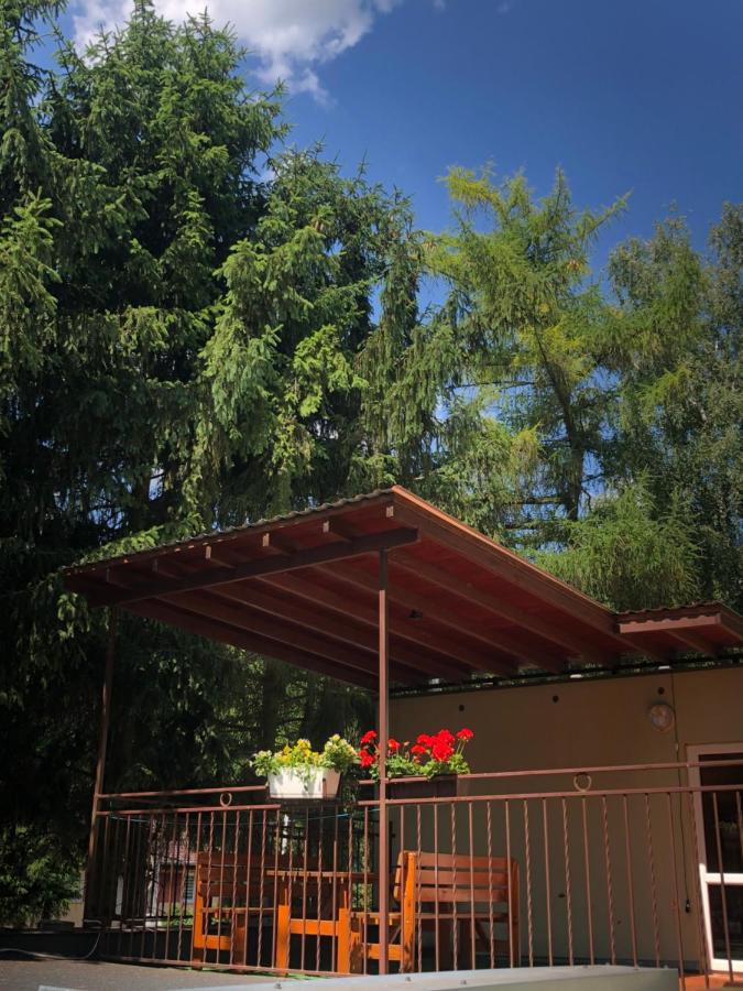 Domek pod świerkami 1 - B&B Skorzęcin