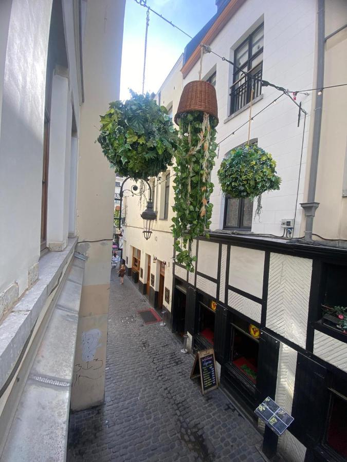 Apartament - B&B