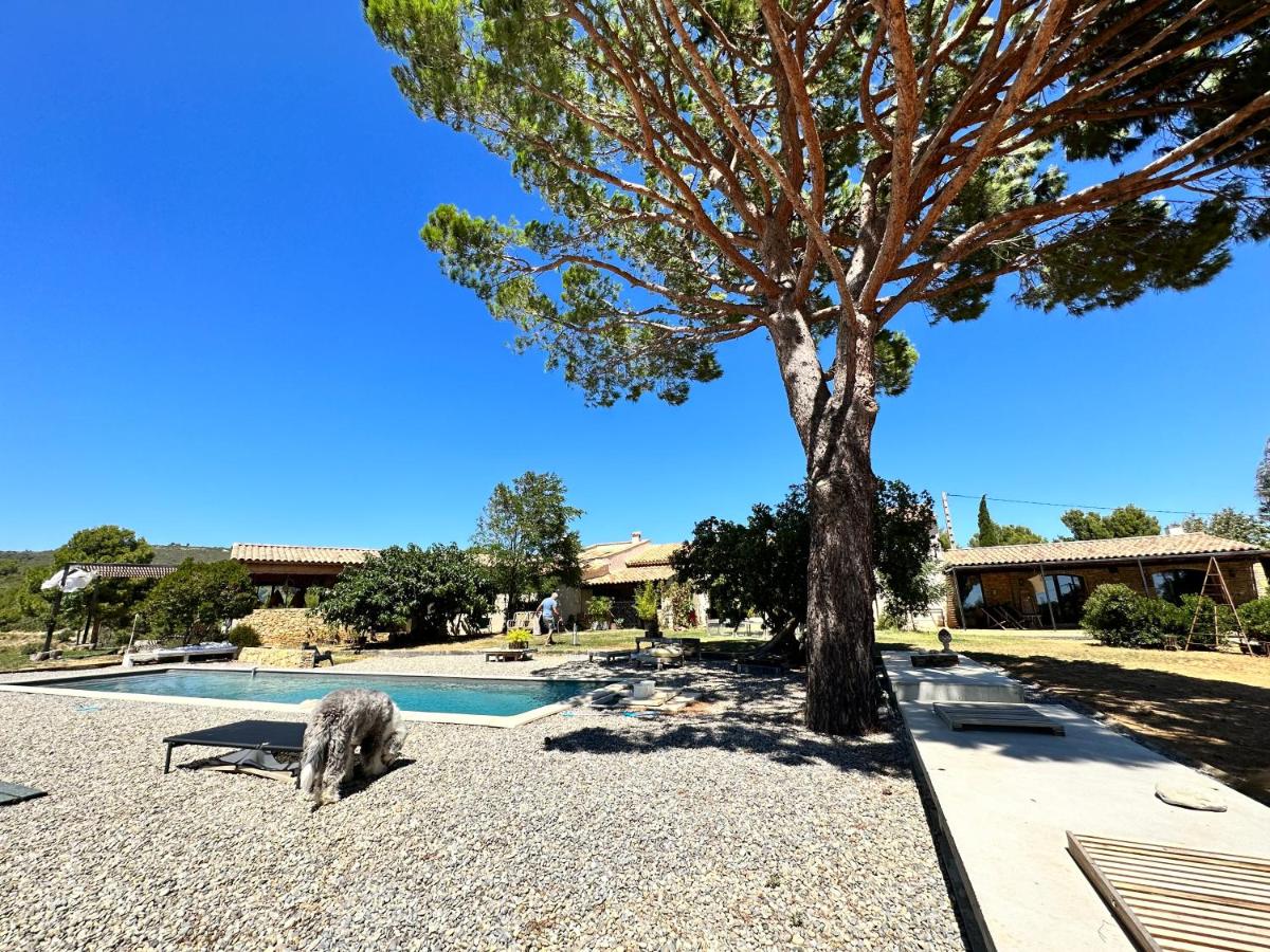 Loft pour sauvages modernes - B&B La Cadière-d'Azur