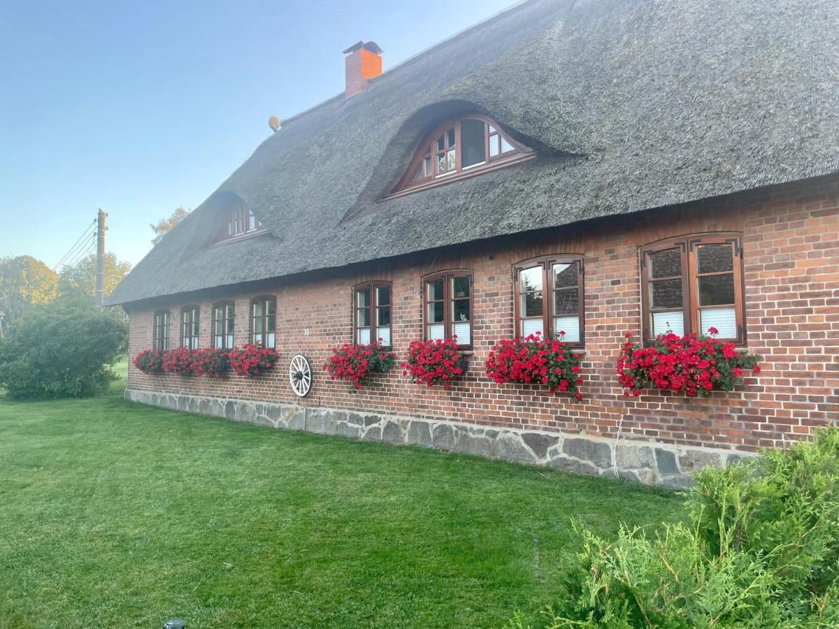 B&B Boitin Resdorf - Ferienwohnung Familie Manthei - Bed and Breakfast Boitin Resdorf