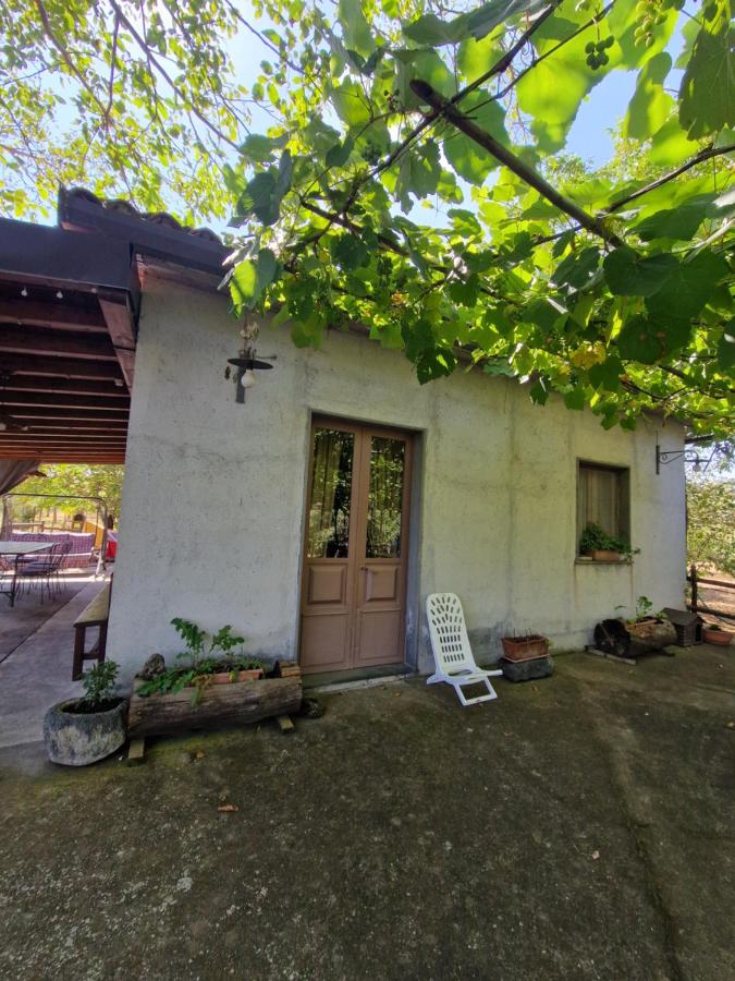 La casa di Giulia - B&B