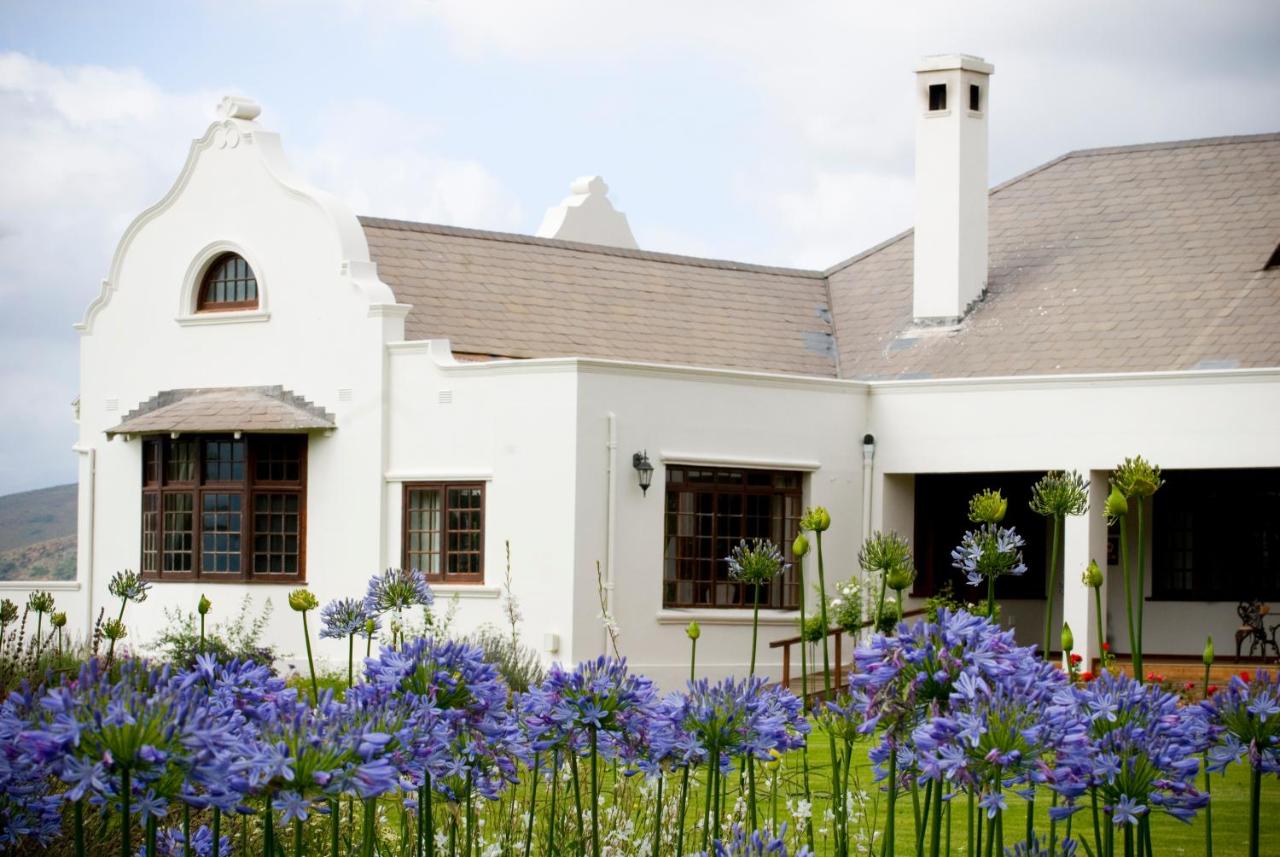 Excelsior Manor Guesthouse - B&B