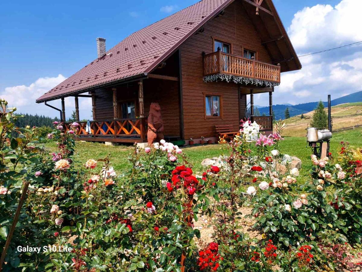 Карпатська Модринка - Chambres d’hôtes