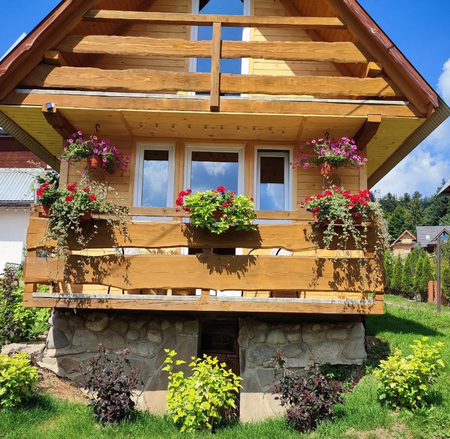 Mały Bystry Domek - Ferienwohnung