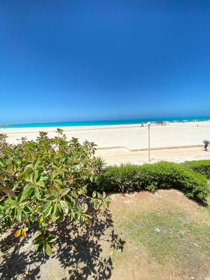 اول صف على البحر مارينا الساحل الشمالي0 هـ - B&B El Alamein