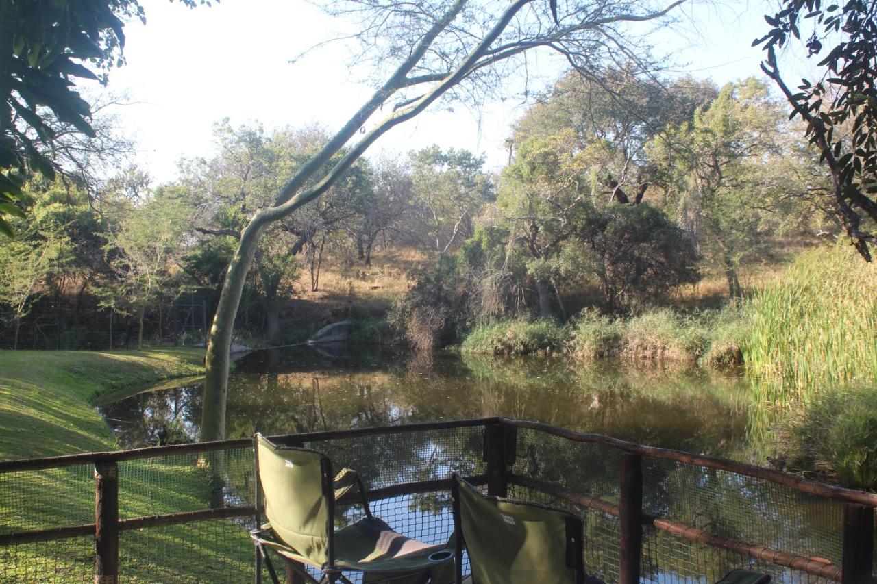 B&B Hoedspruit - Kadima Safari Lodge - Bed and Breakfast Hoedspruit