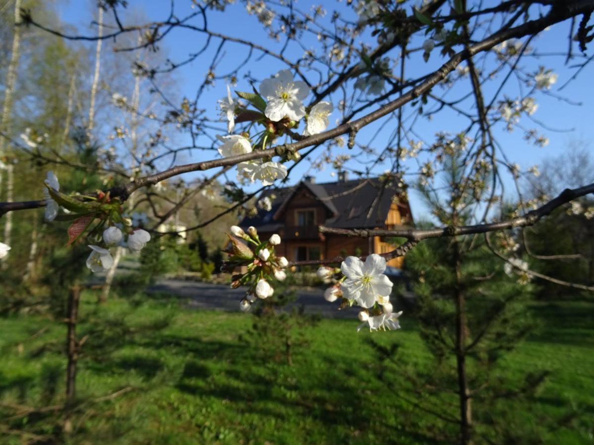 B&B Rzyki - Willa Potoczówka - Bed and Breakfast Rzyki