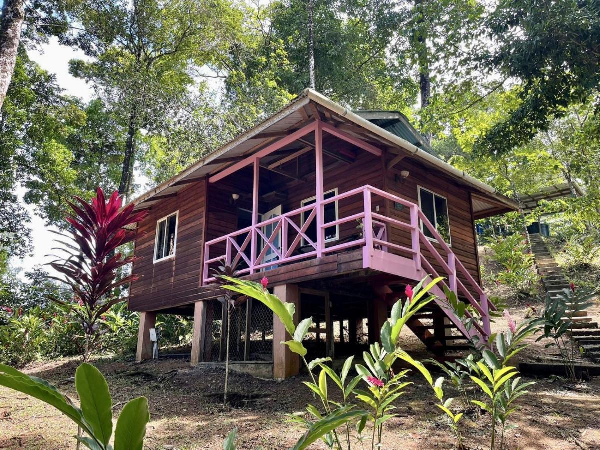 Haus mit 1 Schlafzimmer