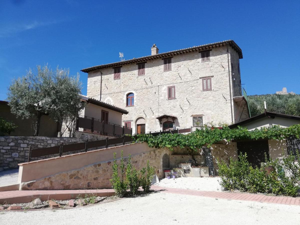 Appartamenti Cardinali - B&B Assisi