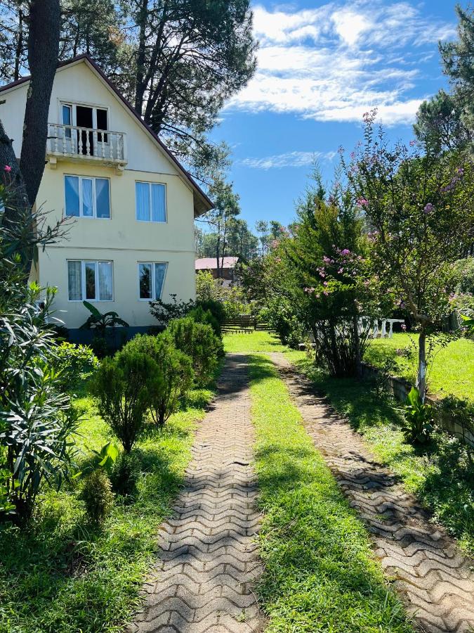Kaprovani Villa 22 - B&B Shek’vetili