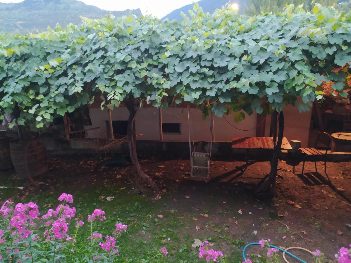 Guest House Nene - B&B