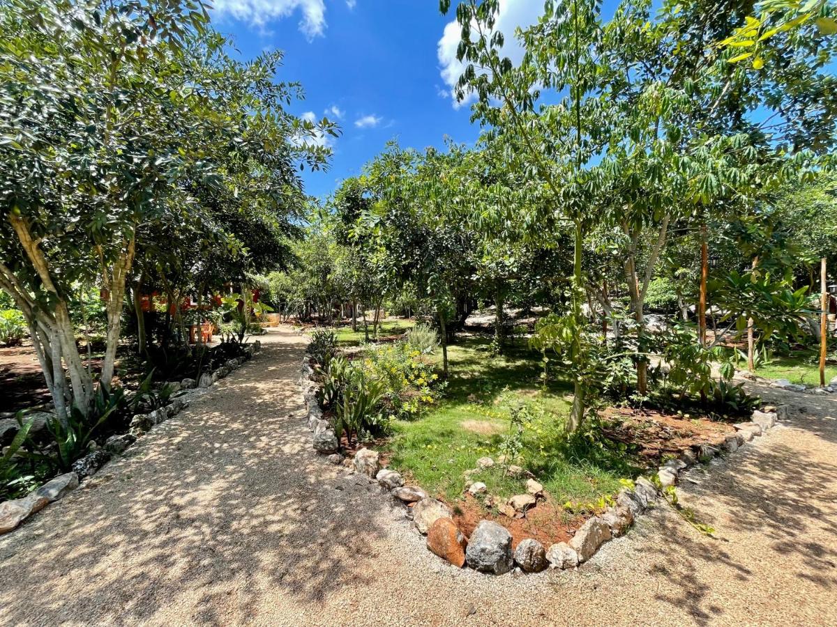 Cabañas HUNAB KU 21 - B&B Hocaba