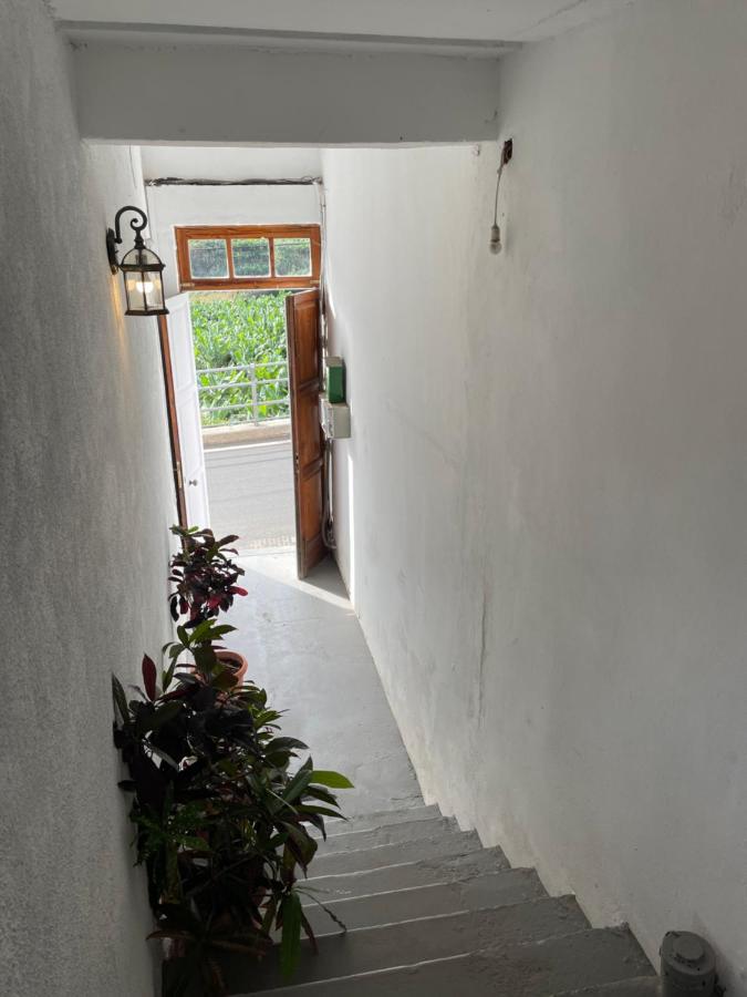 Finca Santa Catalina - B&B Hermigua