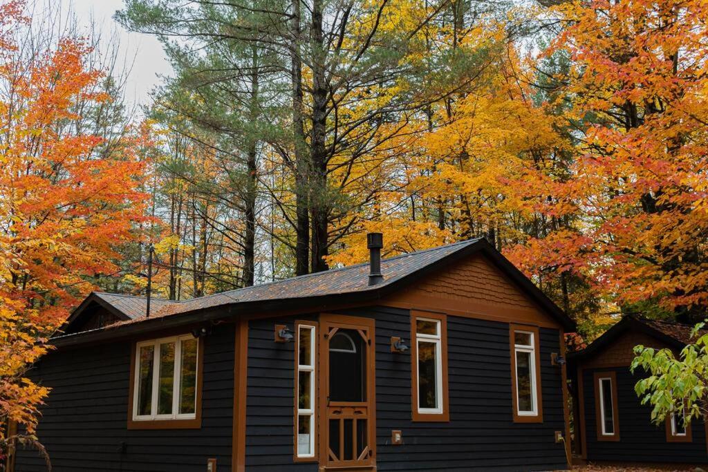 B&B Huntsville - The Doma Lodge - Cozy Muskoka Cabin in the Woods - Bed and Breakfast Huntsville