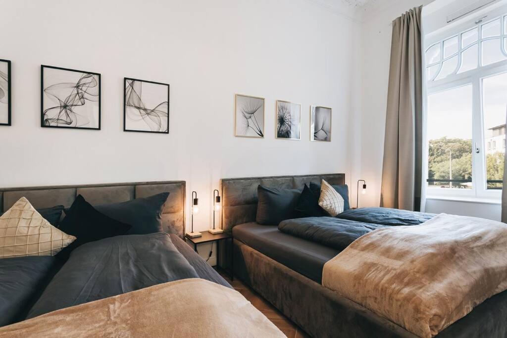 TIP! Design-Apartment in Toplage 75qm in Szeneviertel - B&B Dresda