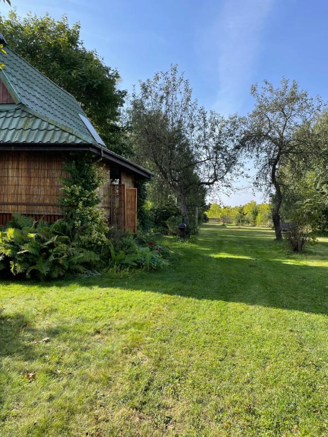 Domek letniskowy przy lesie - B&B Stary Brus