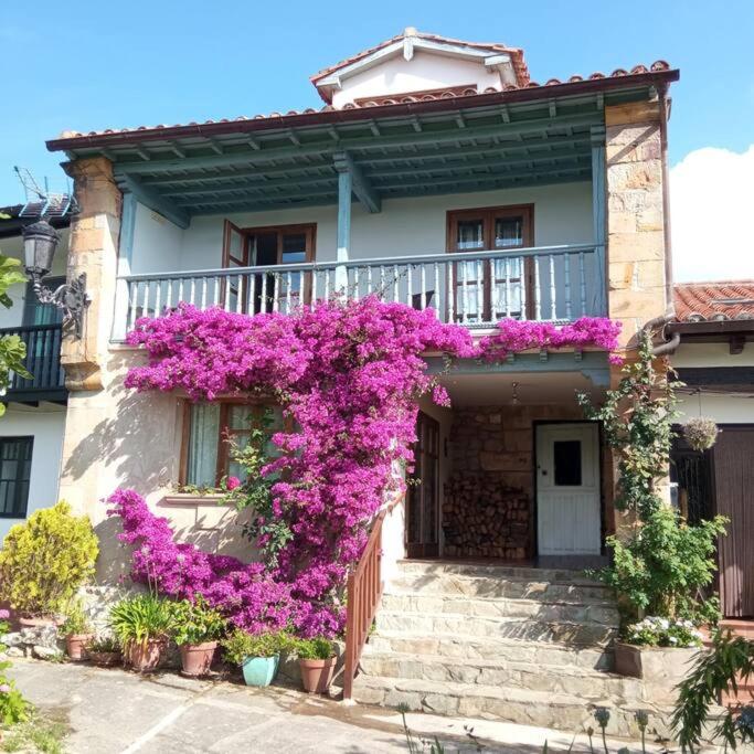 B&B Pando - Casa Buganvilla, Comillas, Cantabria - Bed and Breakfast Pando