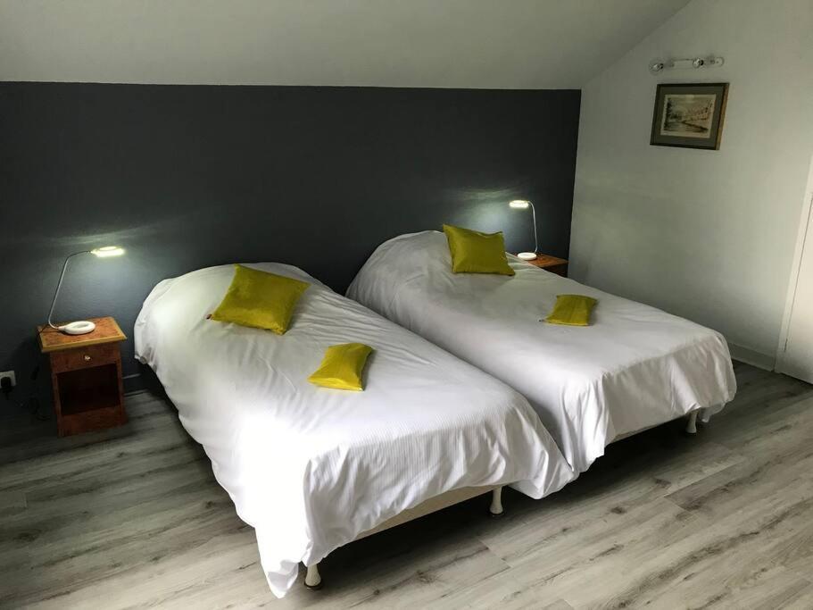 Un havre de paix pour découvrir Vichy , sa région - B&B