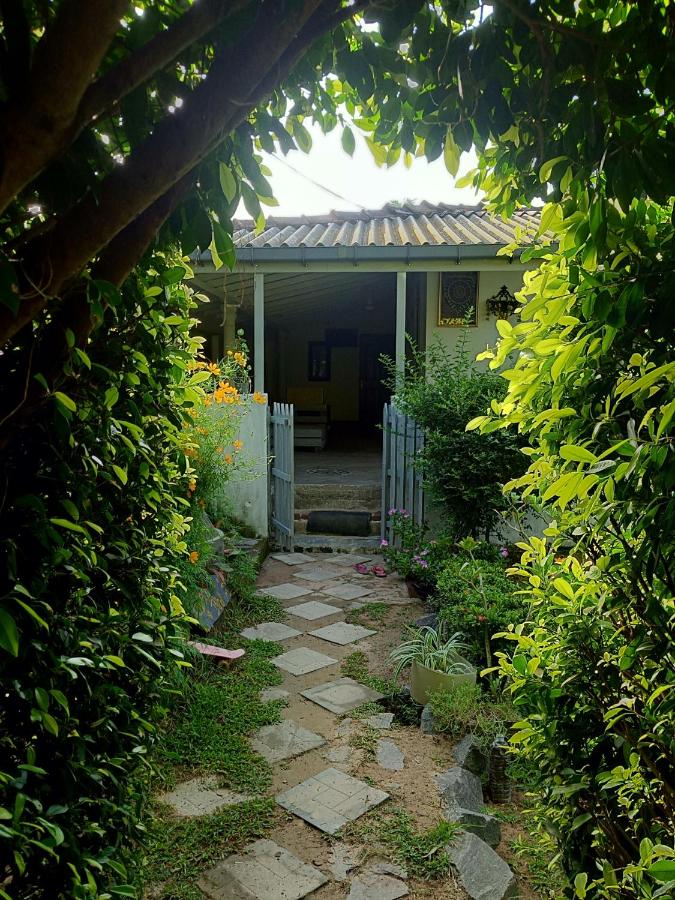 Green Bird - B&B