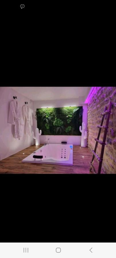 Romantique room - B&B Charleville-Mézières