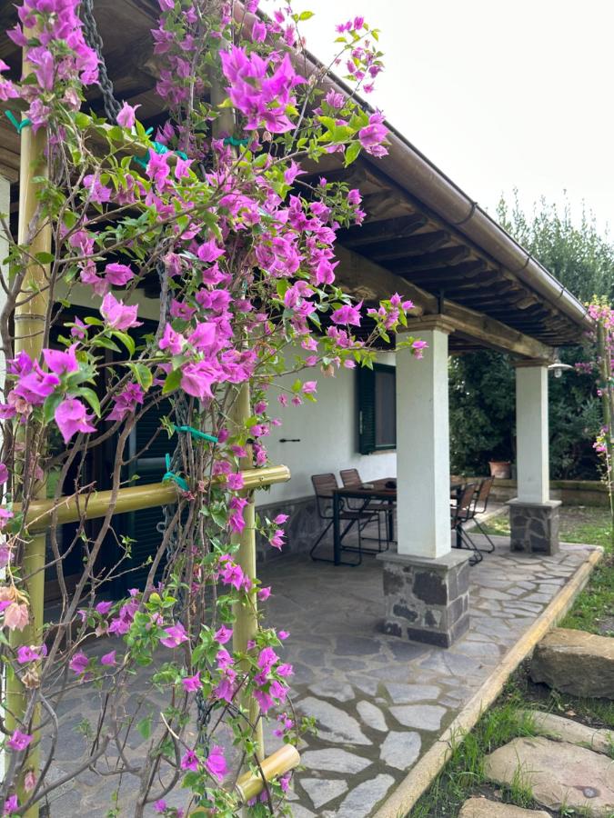Agriturismo Iride - Bed and Breakfast Bolsena