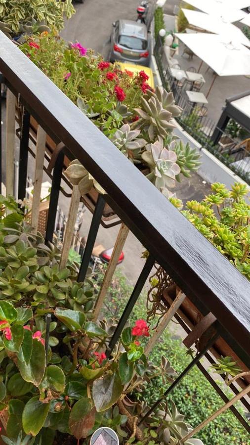 Semini di nostalgia - B&B Roma