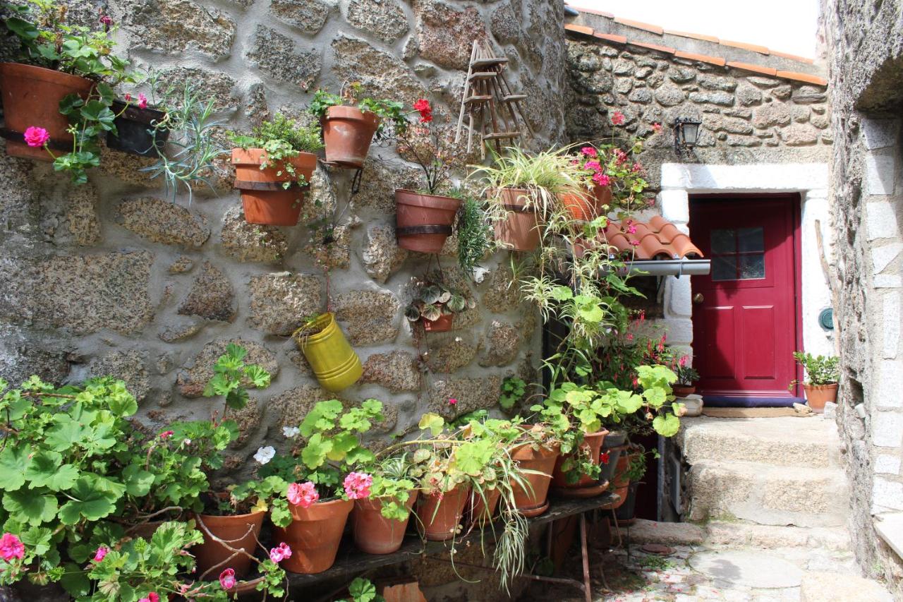 Lugar São Salvador de Monsanto - Bed and Breakfast