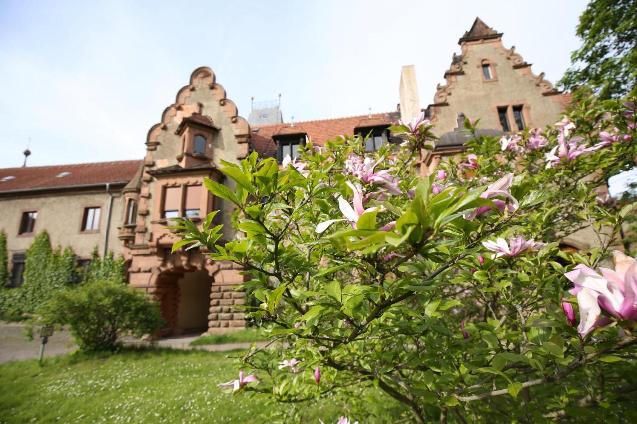 Veltheimsburg - Bed and Breakfast