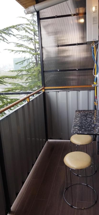 Sophie's apartment in Kutaisi - B&B Kutaisi