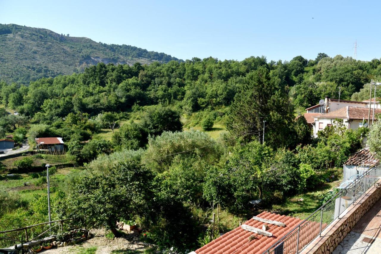 Chambre Double ou Lits Jumeaux - Vue sur Montagnes