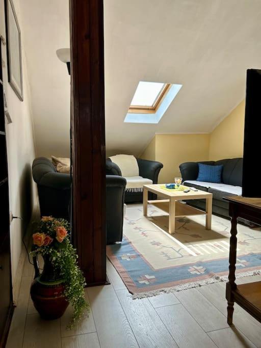 Central Park Apartment - Bed and Breakfast Podgorica