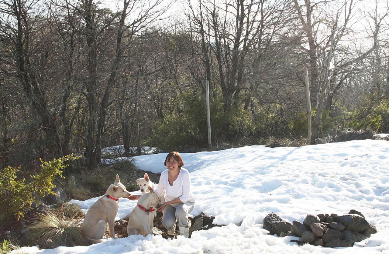 Don Guillermo Cabins - B&B Las Trancas