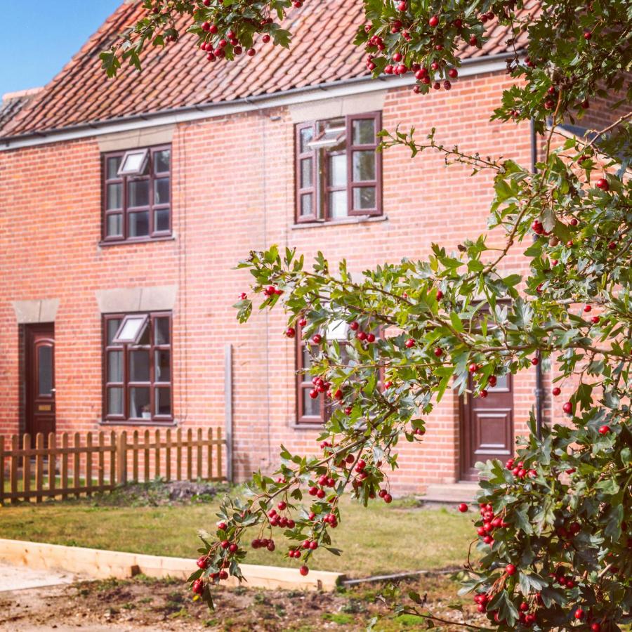 B&B Norwich - East Cottage at Walnut Farm, Waxham, Nr Sea Palling, path to the beach - Bed and Breakfast Norwich