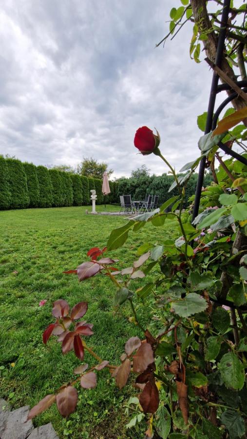 Studio met Uitzicht op de Tuin