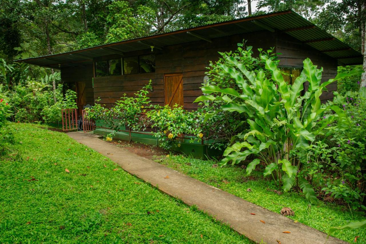 Cecropia Ecolodge - B&B La Fortuna