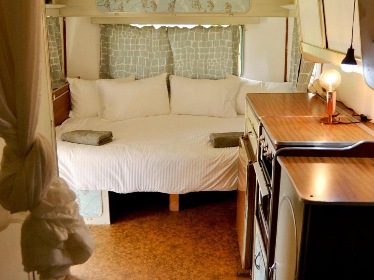 Deluxe Mobile Home