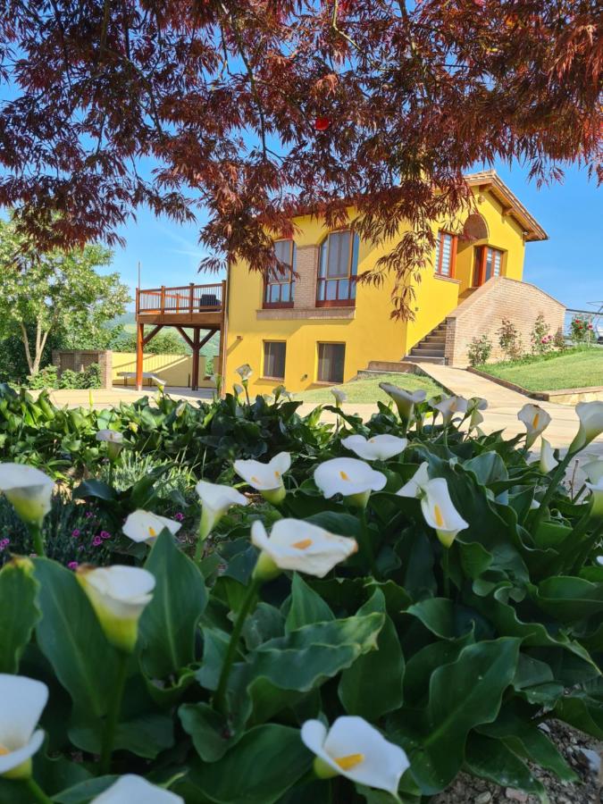 Villa Scarialetto nel Parco Naturale di Monte Cucco - B&B Sigillo