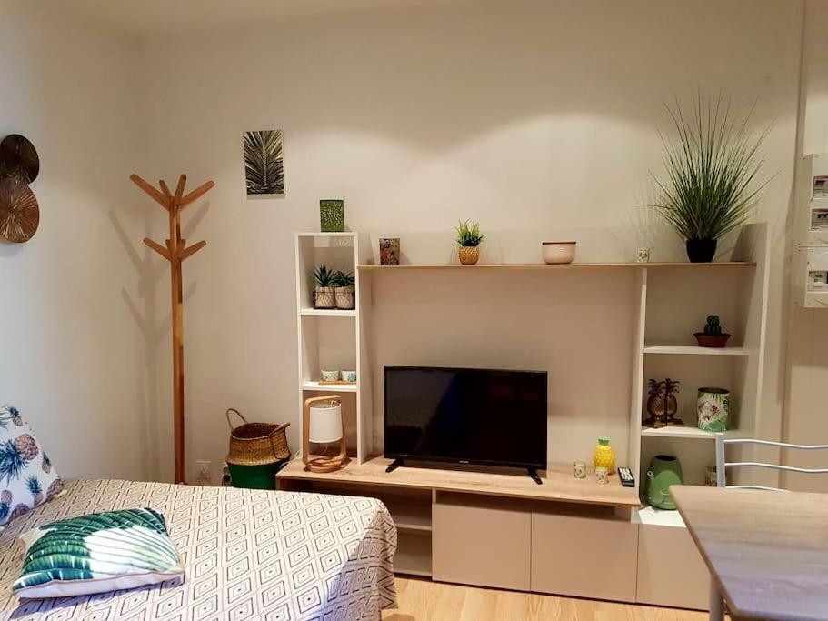 Rêve de coco, le port à pied - B&B