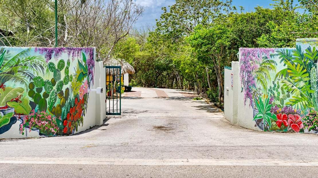 Dream of the Green Flamingo - B&B