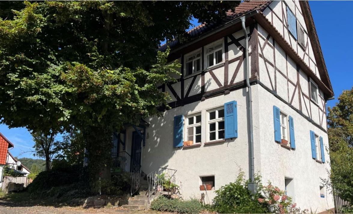 B&B Blickershausen - Haus Winterlinde mit herrlich verzaubertem StaudenGarten - Bed and Breakfast Blickershausen