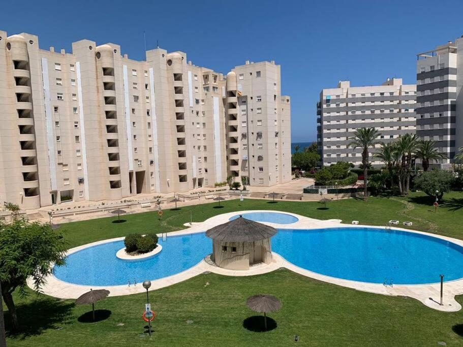 Apartamento - Playa El Campello Urbanización Jardín del Mar - B&B El Campello