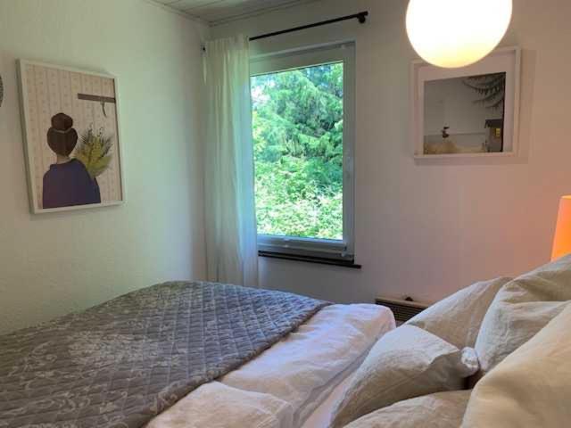 Ferienhäuser Holzkoppel - Ferienwohnung Hagen