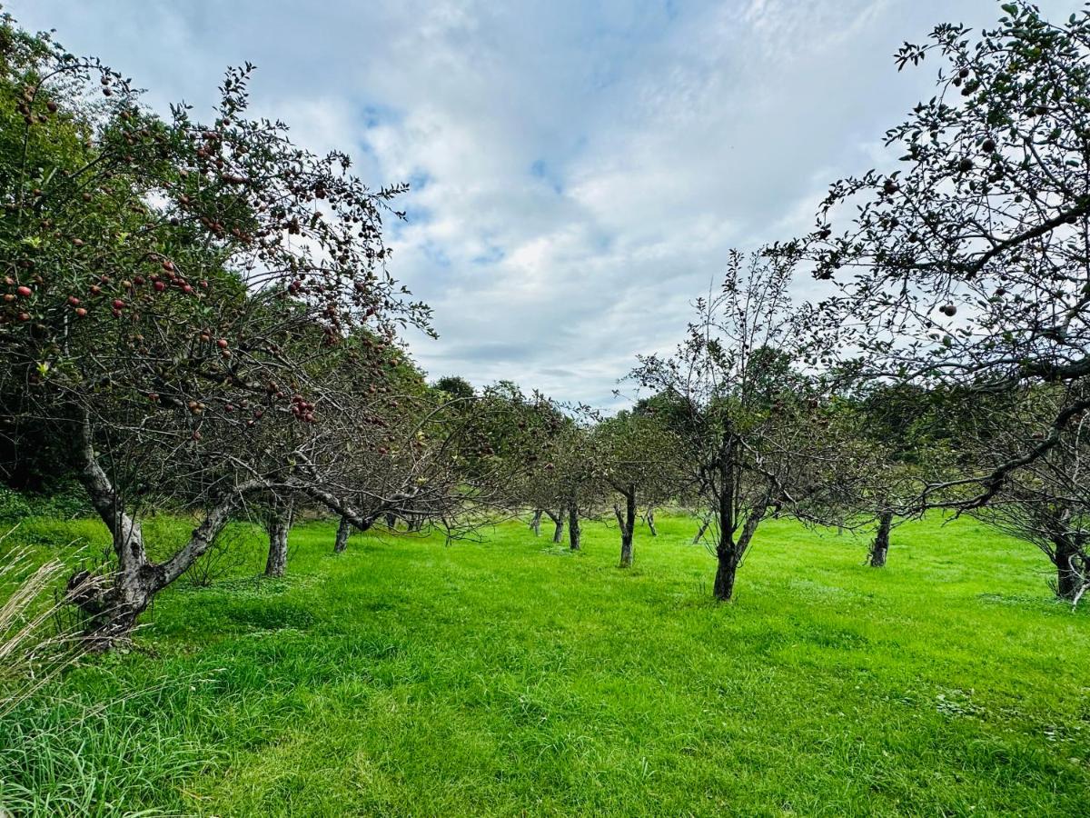 3 Bedroom Hilltop Escape with 5 Private Acres and Hot Tub - B&B