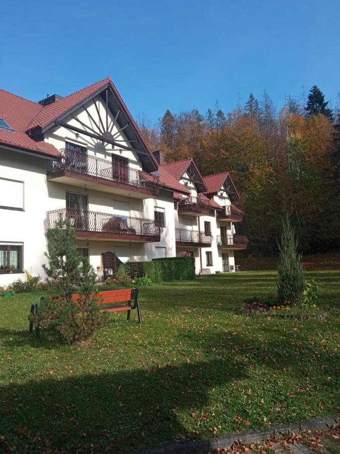 B&B Wisla - Belweder Apartamenty i Pokoje - Bed and Breakfast Wisla